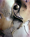 Enter Gallery 1
