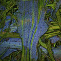 Enter Gallery 2